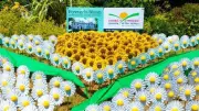 Forever in Bloom Campaign Returns to Bedwellty House in 2026