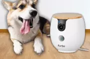 Furbo Mini 360° Pet Camera Eases Dog Owners' Holiday Guilt