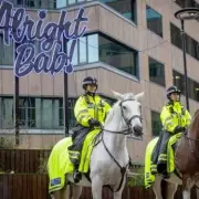 Inside the Lives of West Midlands Police Horses: Sunbeds and Massages