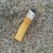 London Resident Fined £500 for Cigarette Butt in Rubbish Sack