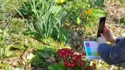 Mental Health Awareness Week: Nature and Helping Others Boost Wellbeing