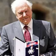 Netflix's 'Obscene' David Attenborough Parody Mating Season Drops After 100th Birthday
