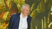 New Parasitic Wasp Species Named After Sir David Attenborough for 100th Birthday