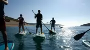 Open Day at Maylandsea Sailing Club Offers Free Taster Sessions