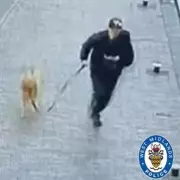 Police Release CCTV Image After Dog Attack on Birmingham Canal