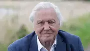 Sir David Attenborough Turns 100: A Life of TV and Nature