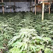 Smethwick man charged in multi-million pound cannabis farm raid