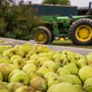 Somerset fruit machinery firm that supplied Royal Family enters administration