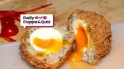 Trivia and History: Stevie Wonder's Birth and Quiz Answers