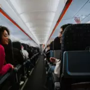 UK Government Rejects Petition to Allow Small Pets in Airline Cabins