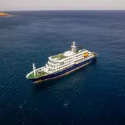 UK Man in ICU as Three Die in Hantavirus Outbreak on Cruise Ship MV Hondius