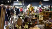 Volunteer at Phyllis Tuckwell's New Charity Shop in Guildford