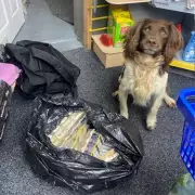 Walsall Shop Raids Seize £20k Worth of Illegal Cigarettes