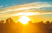 West Midlands Bank Holiday Weather: Sunshine and Showers Expected