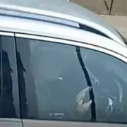 West Midlands Police Catch 150+ Dangerous Drivers in Covert Lorry Op