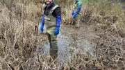 Wild Ground launches conservation projects in North East Wales