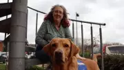 Woman with long Covid and heart failure gets life-changing assistance dog Jeff