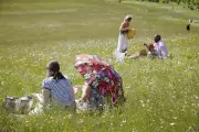Yoga and Mindfulness Sessions Launch at National Trust Sites in Worcestershire