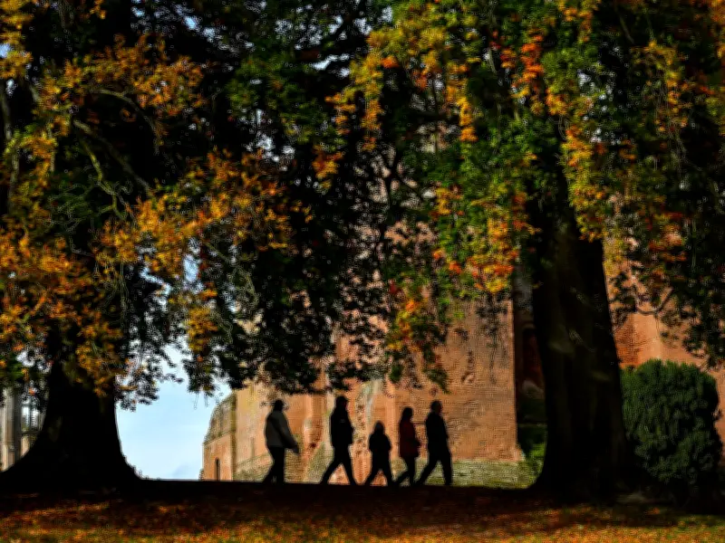 10 Best Family Experiences in Midlands Named in 2026 Muddy Stilettos Awards