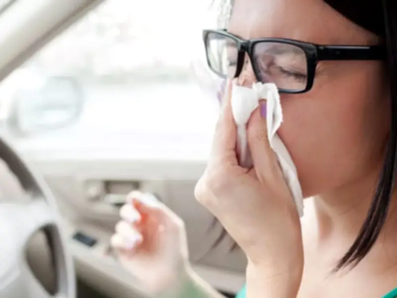 £1,000 pollen bomb driving alert: even non-hayfever drivers at risk