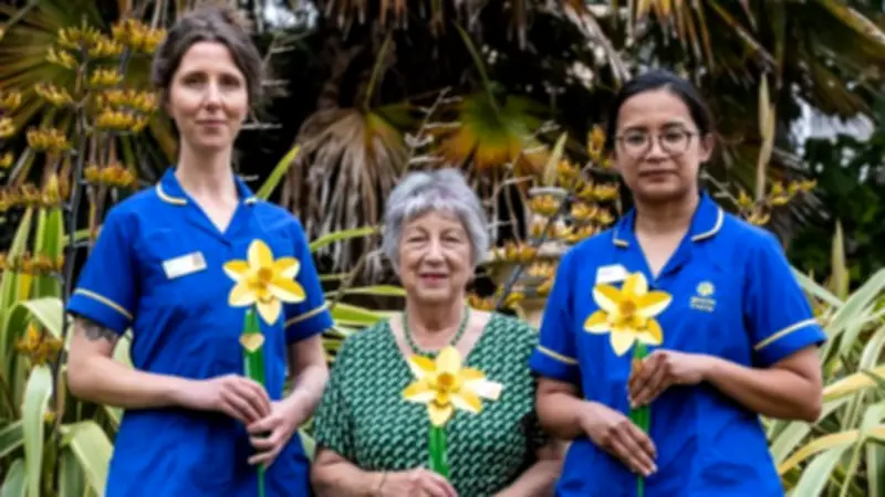 300 Handcrafted Metal Daffodils Create Remembrance Garden at Marie Curie Hospice