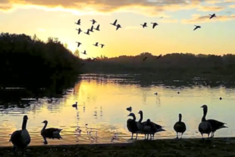 9 Stunning Sunset Spots in West Midlands Including Hidden Gems