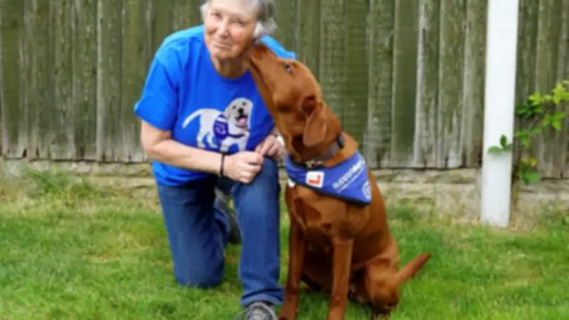 Army Veteran Finds New Purpose as Puppy Socialiser for Support Dogs