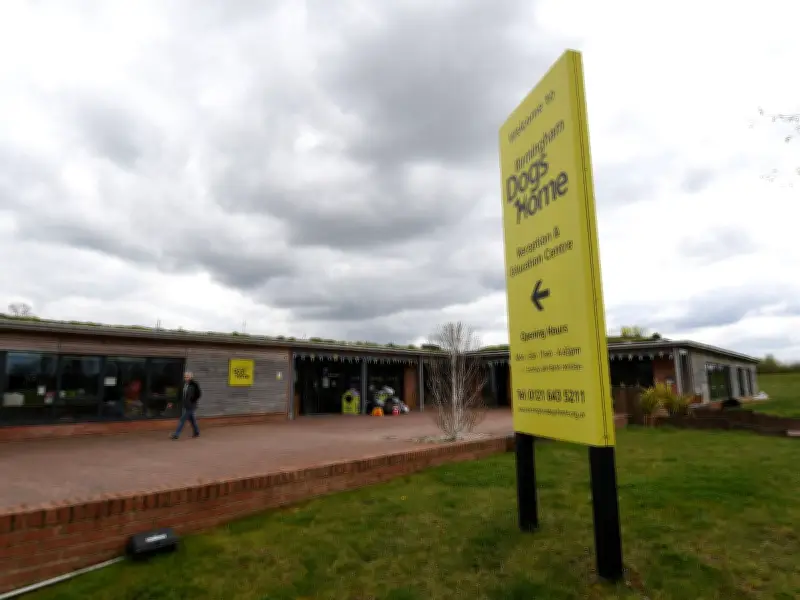 Birmingham Dogs Home Family Fun Day: Parking, Tickets, and What to Expect