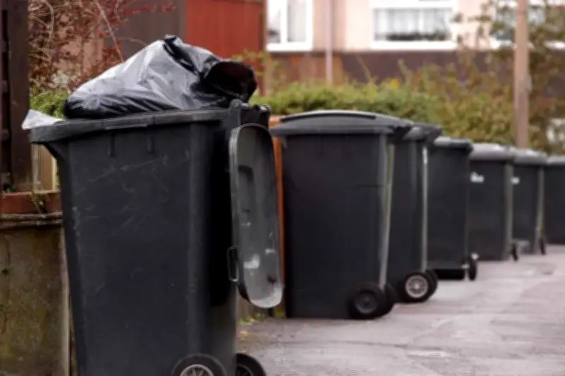 Birmingham Residents Urged to Put Bins Out Earlier for Collection