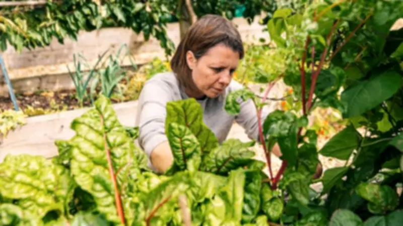 Boiling Water and Other Cheap Tricks to Kill Weeds Without Harsh Chemicals