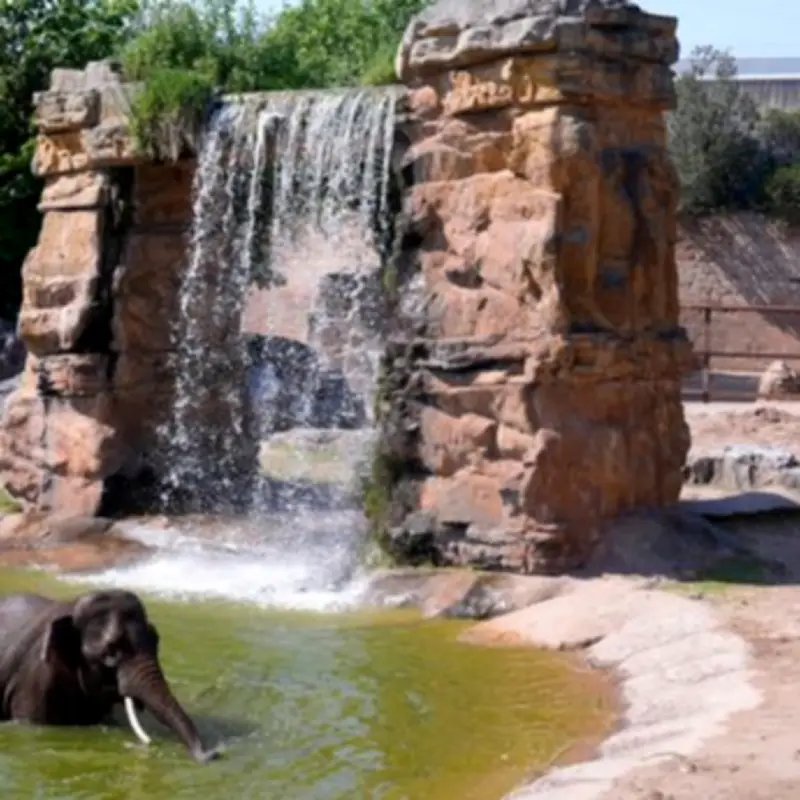 Chester Zoo Offers £10 Afternoon Tickets for Families This Summer