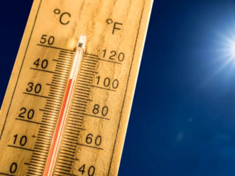 Dudley Bin Collections Rescheduled as Red Heatwave Alert Hits West Midlands