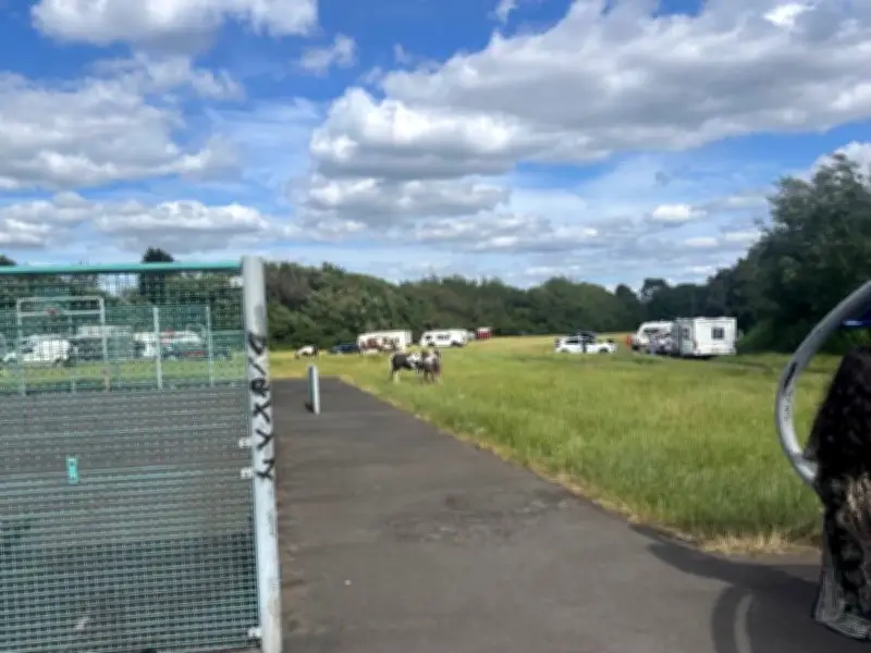 Eviction Calls After Travellers Camp on Hodge Hill Park Near Children's Play Area