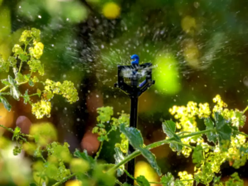 Five Eco-Friendly Garden Tips Ahead of July Energy Bill Rise