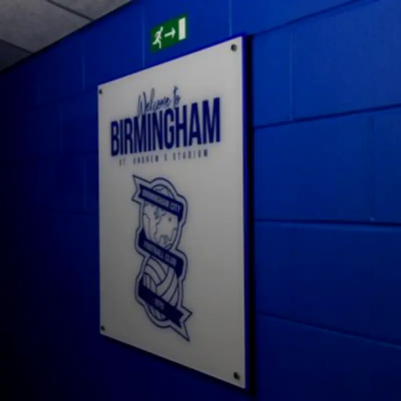 Five Key Tasks for New Director of Football After Gardner's Birmingham City Exit