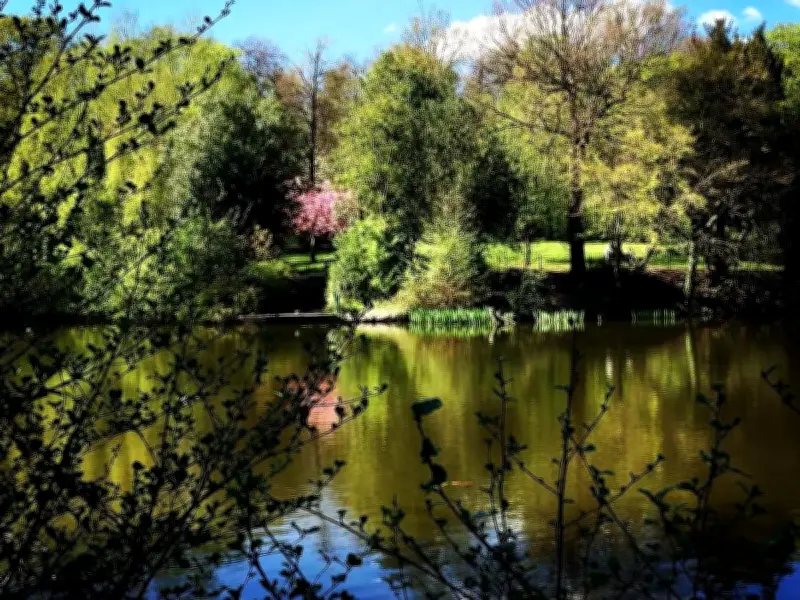 Four-Year-Old Boy Abducted from Cradley Heath Park, Suspect Still at Large