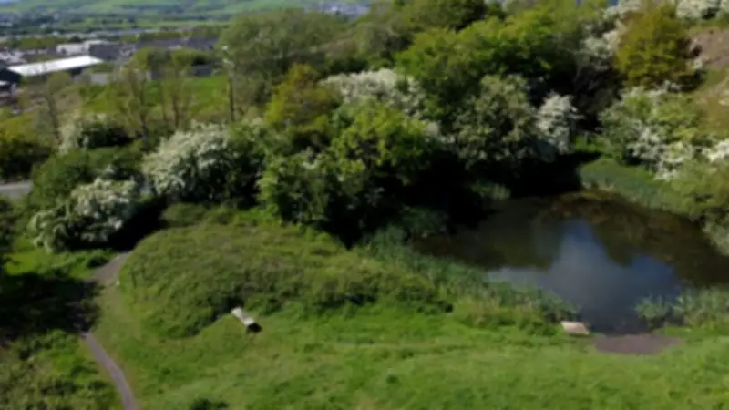 Free Woodland Festival Marks 200th Anniversary of Lancashire Weavers Uprising