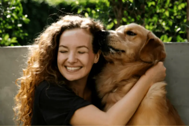 Furbo Smart Camera: The Ultimate Pet Monitoring Device for Owners