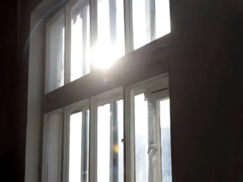 Households Warned to Shut Windows as Flying Ant Day Arrives Early in 2026