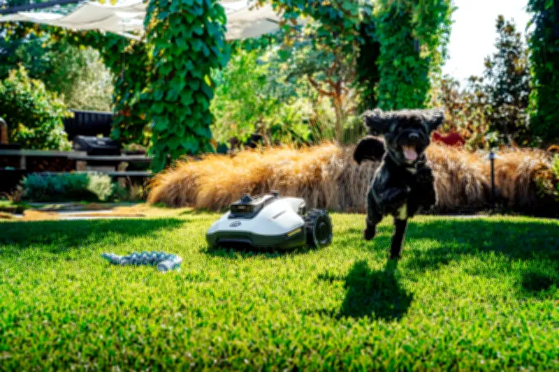 Mammotion Robot Mower Review: Smart Lawn Care Solution