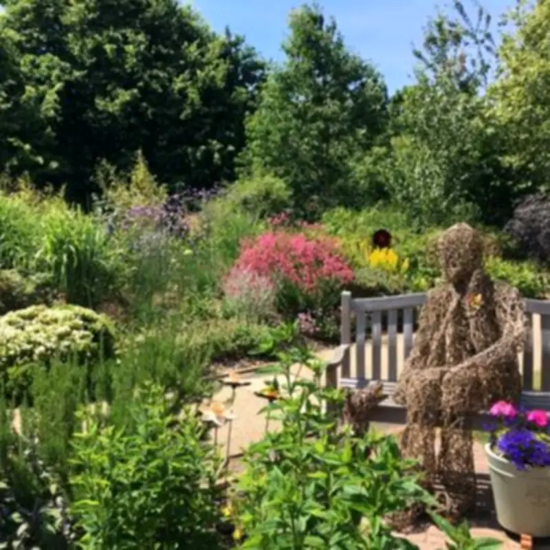 Marie Curie Hospice Garden in Solihull Opens to Public for One Day