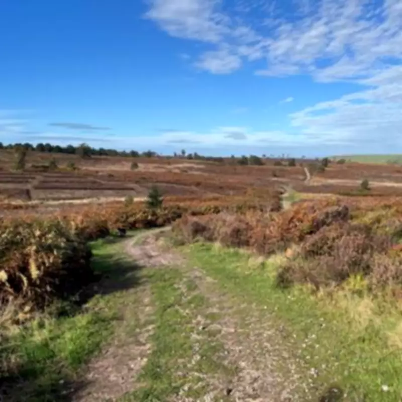 Midlands to Sizzle in 26°C Mini Heatwave on June 13