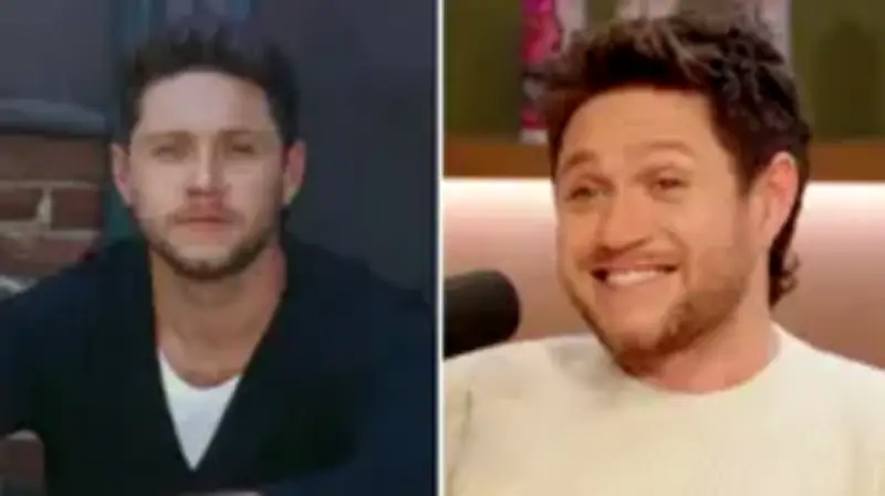 Niall Horan Explains Sexy Meaning Behind 'Tastes So Good' Lyrics