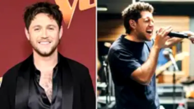Niall Horan's 'Flowers' Lyrics Meaning: Inspired by a Fan Tweet