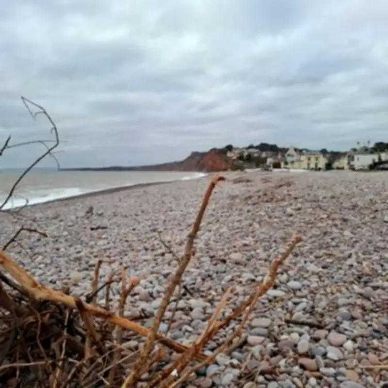 No-Swim Warnings Issued at Four Devon Beaches Over Pollution Fears