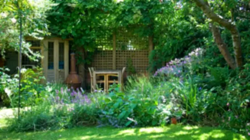 North-Facing Gardens: Expert Tips for Shade-Tolerant Plants and Design