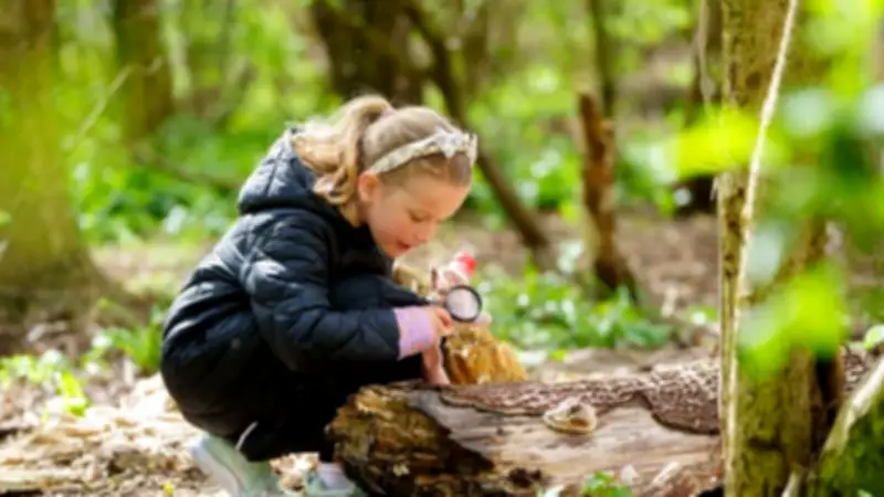 Northumberland Wildlife Trust Hosts Free Nature Event at Jesmond Dene on July 4
