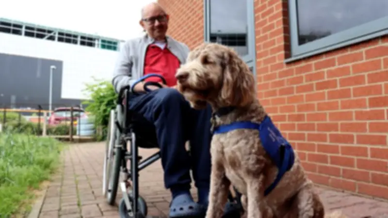 Pet Dog Odin Trained as Disability Assistance Dog After Cancer Battle
