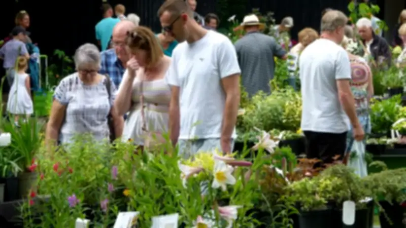 Plant Hunters' Fair Returns to Whittington Castle This June