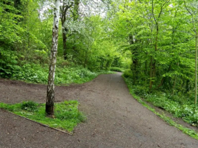Police Release Description of Suspect in Abduction of 4-Year-Old Boy from Haden Hill Park